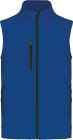 dark_royal_blue