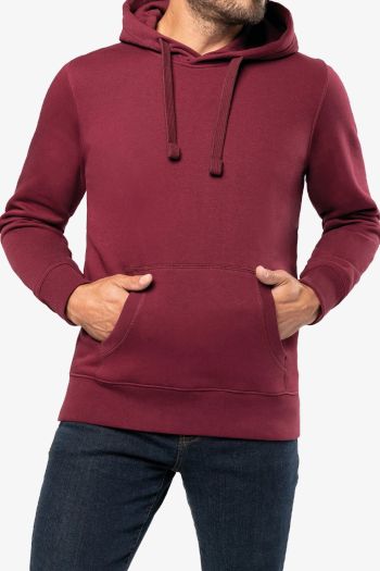Image produit Sweat-shirt capuche homme k489