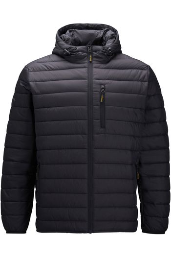 Jaqueta acolchoada westby stw40034 - Black