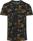 navy_paradise_bird