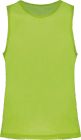 fluorescent_green
