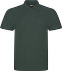 bottle_green