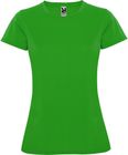 vert_fougere
