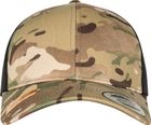 multicam