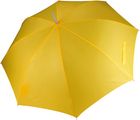 true_yellow