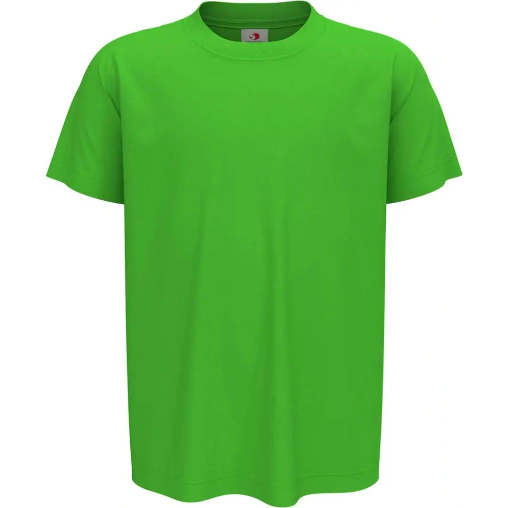 Image produit Classic-t kids Tee shirt cotton ring spun st2200