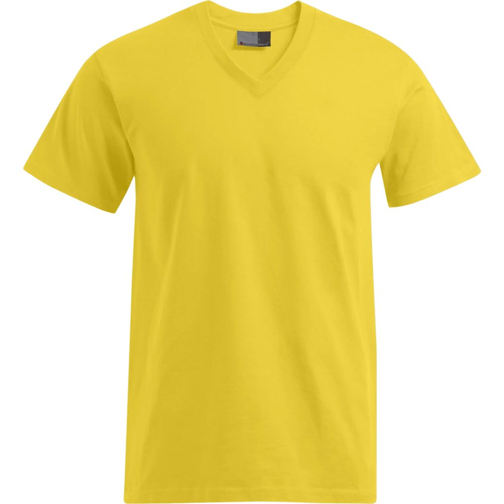 Image produit Premium v-neck-t Tee shirt coton simple 3025f