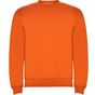 Image produit Clasica Sweat shirt ras du cou su1070