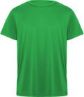 vert_fougere