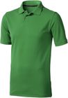 fern_green