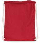 hibiscus_red