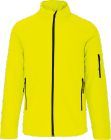 fluorescent_yellow