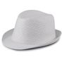 Image produit Retro panamahat i halm kp612