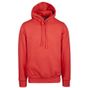 Image produit Hooded Sweatshirt Cotton it475