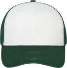 white/dark_green