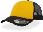 yellow/black