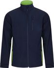 navy/lime