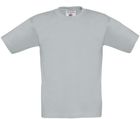 pacific_grey