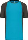 light_turquoise/dark_grey