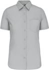 snow_grey