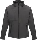 seal_grey/black