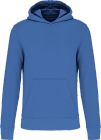 light_royal_blue