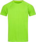kiwi_green