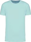 ice_mint