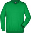 fern_green