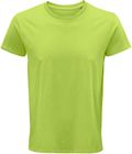 vert_pomme