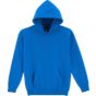 Image produit BLEND YOUTH HOODED SWEATSHIRT 18500B 18500b
