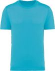 light_turquoise