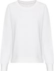 arctic_white