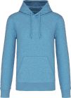 cloudy_blue_heather