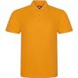 Image produit Polo pro rx101