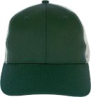 forest_green/light_grey