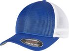 royal/white
