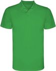 vert_fougere