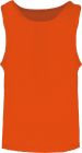 spicy_orange