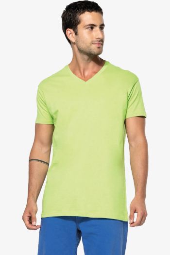 Image produit Bio150ic v-neck t-shirt for men k3028ic