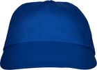 bleu_royal