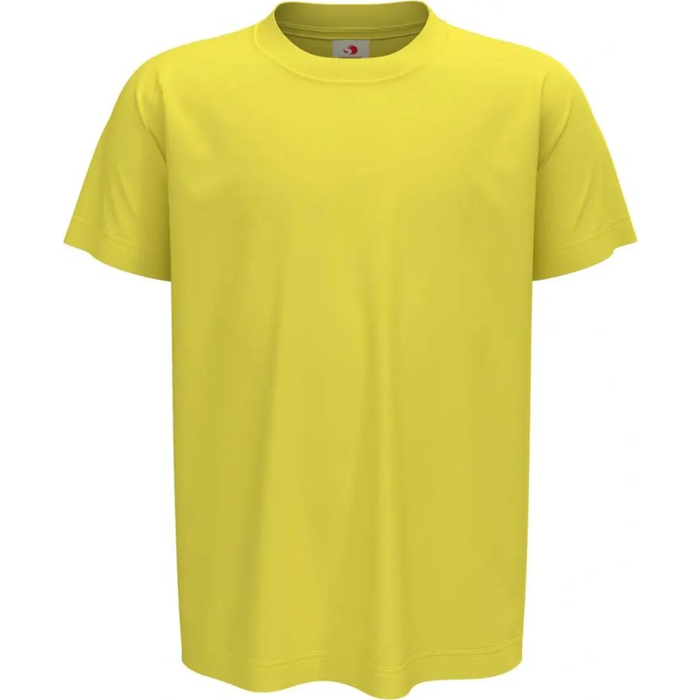 Image produit Classic-t kids Tee shirt cotton ring spun st2200