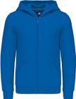 light_royal_blue