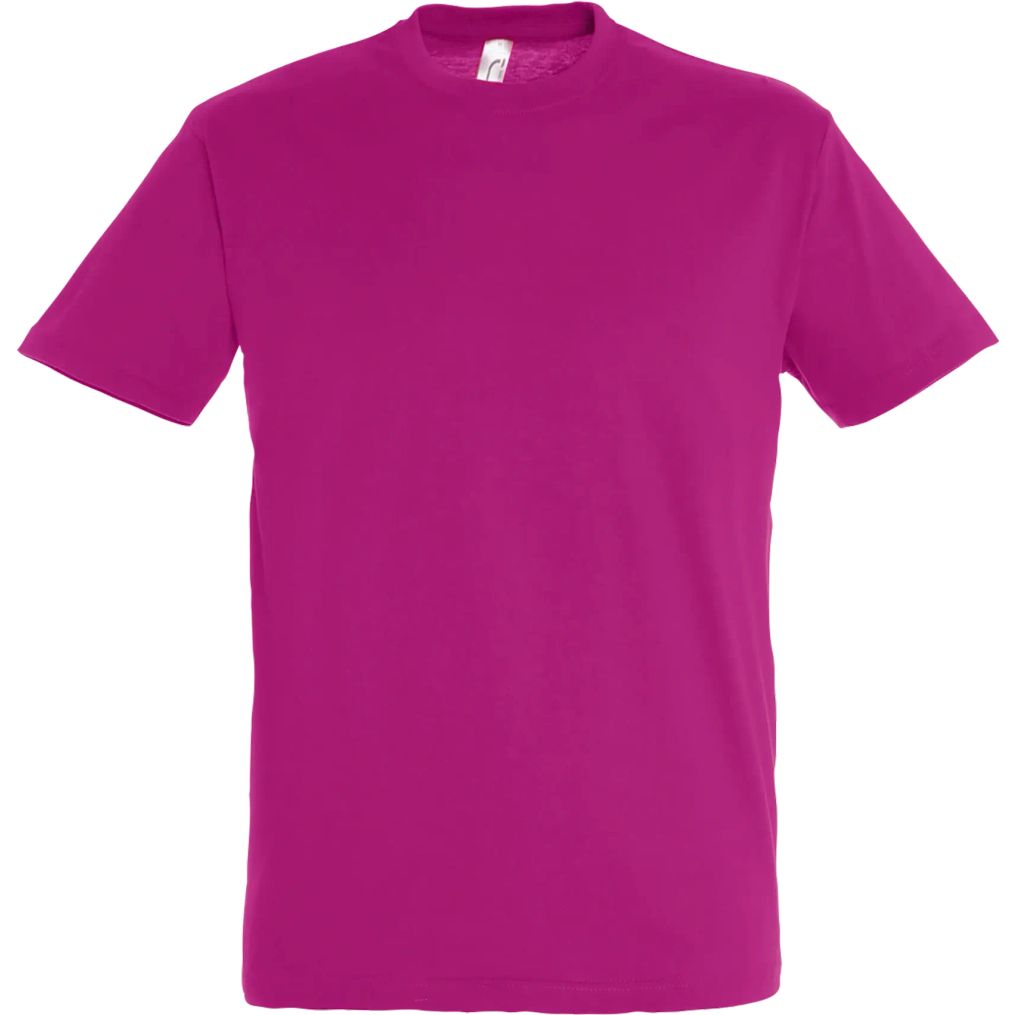 Image produit Regent Tee shirt coton uni 11380