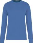 light_royal_blue