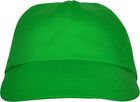 vert_fougere