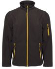 black/gold