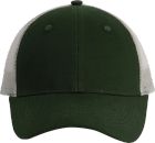 forest_green/light_grey