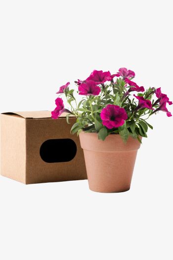 Image produit VOLEN biologisch abbaubarer Topf mc1000