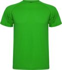 vert_fougere